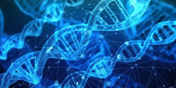 Epigenetik