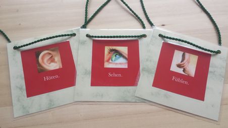 Systemische Aufstellung der Sinne